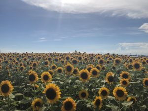 臨時休業のお知らせ　9月1日