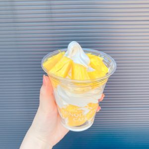台湾パイナップル&ソフトクリーム