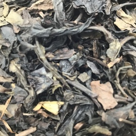 特選ウーロン茶