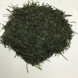 煎茶・萌芽