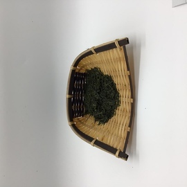 手摘み新茶　摩利支